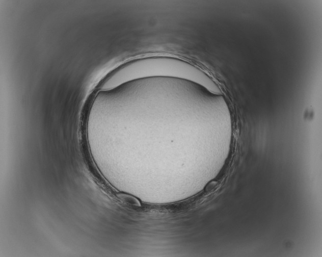 X0000114680248200911181237