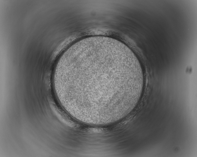 X0000114680250200911181237