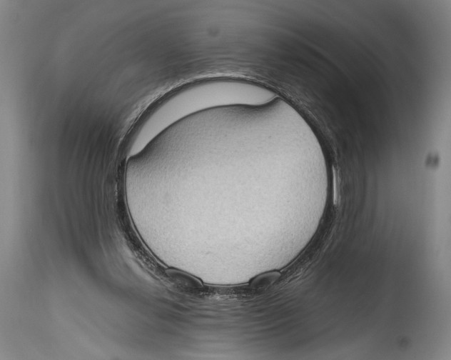 X0000114680252200911181237