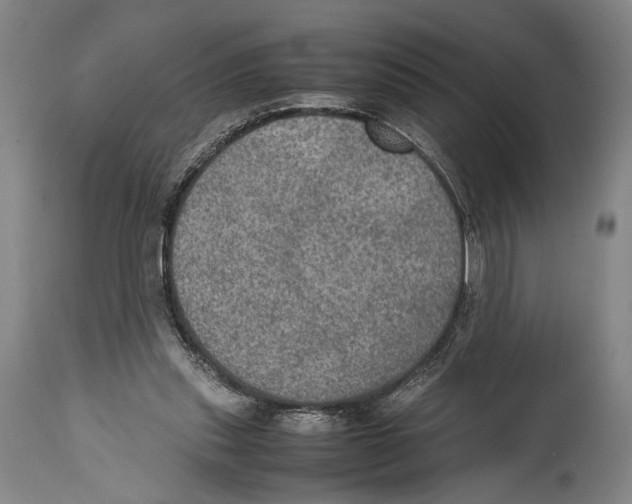 X0000114680253200911181237
