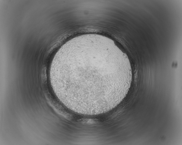X0000114680254200911181237