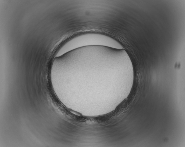 X0000114680256200911181237