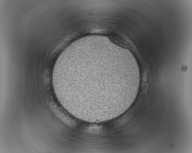 X0000114680257200911181237