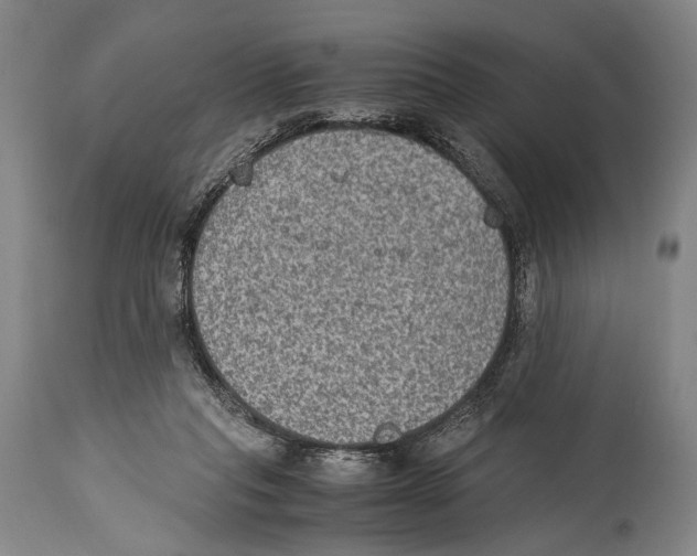 X0000114680261200911181237
