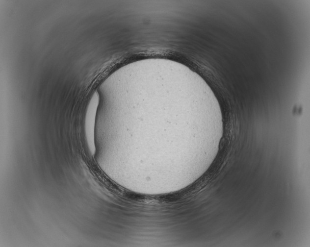 X0000114680264200911181237