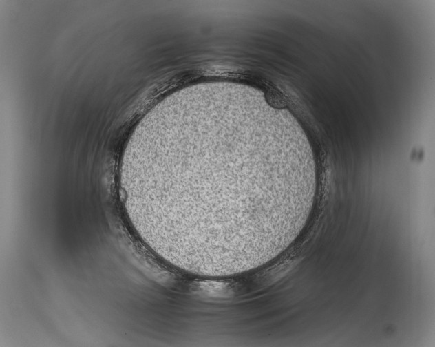 X0000114680265200911181237
