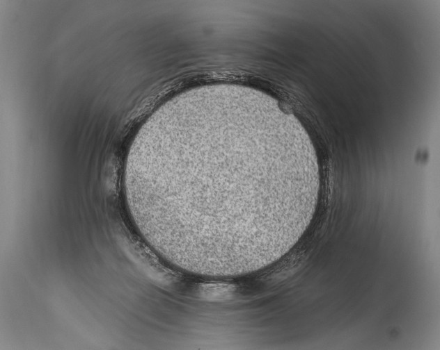 X0000114680266200911181237
