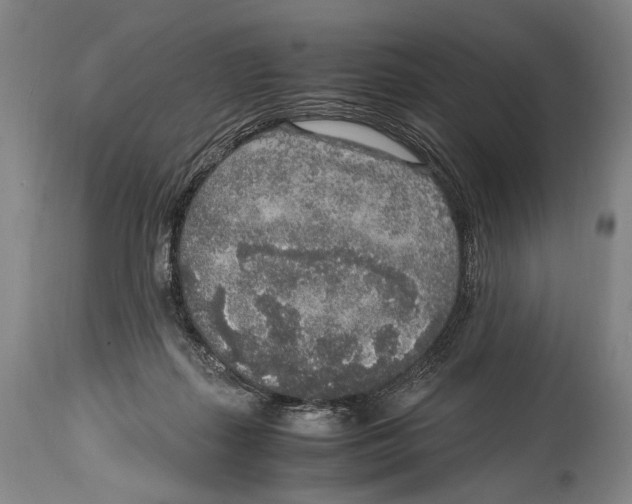 X0000114680267200911181237