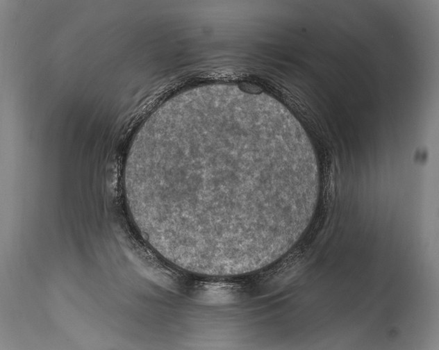 X0000114680268200911181237