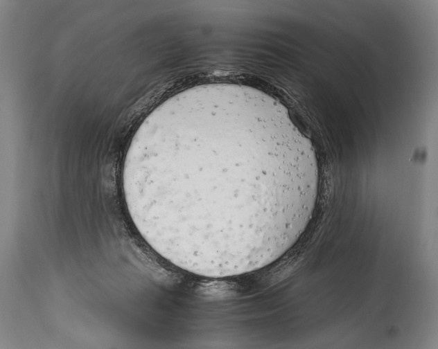 X0000114680269200911181237