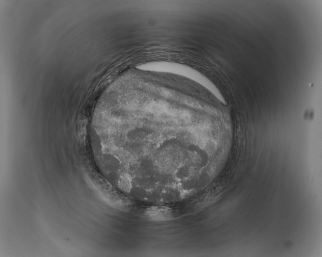 X0000114680271200911181237