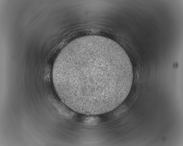 X0000114680274200911181237