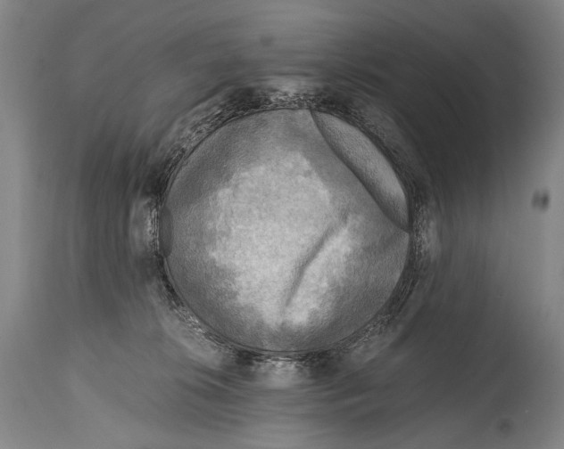 X0000114680276200911181237