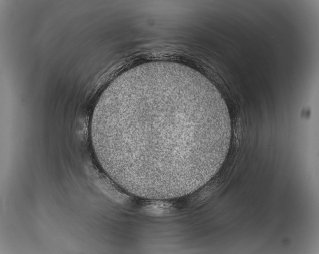 X0000114680278200911181237