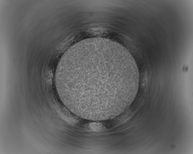 X0000114680279200911181237