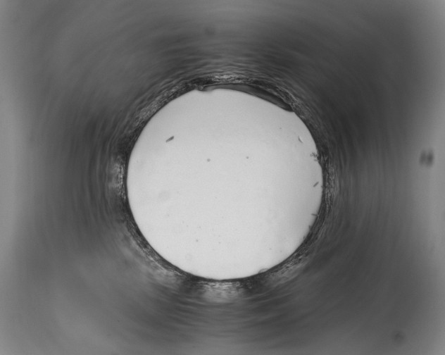 X0000114680281200911181237
