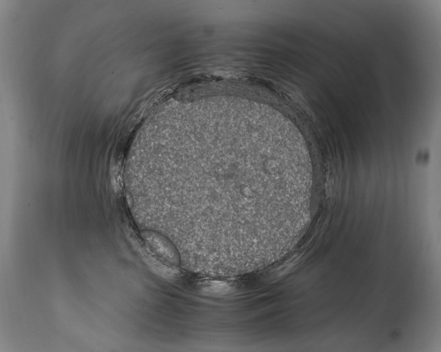 X0000114680285200911181237