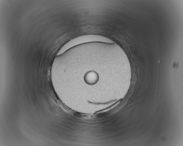 X0000114680288200911181237