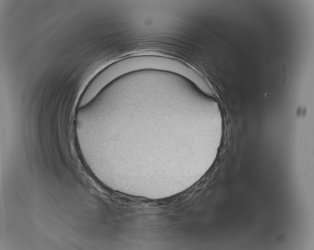 X0000114680289200911181237