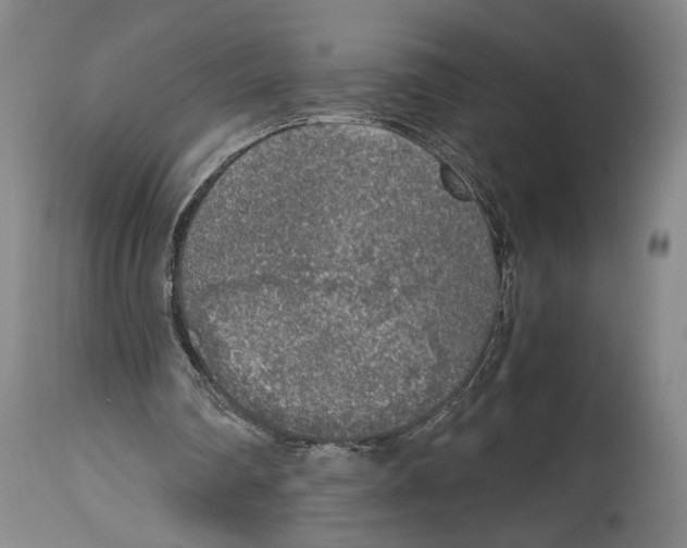 X0000114680290200911181237