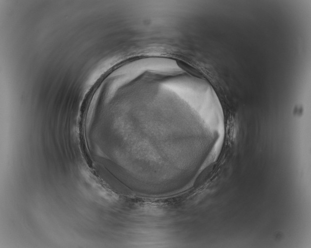X0000114680292200911181237
