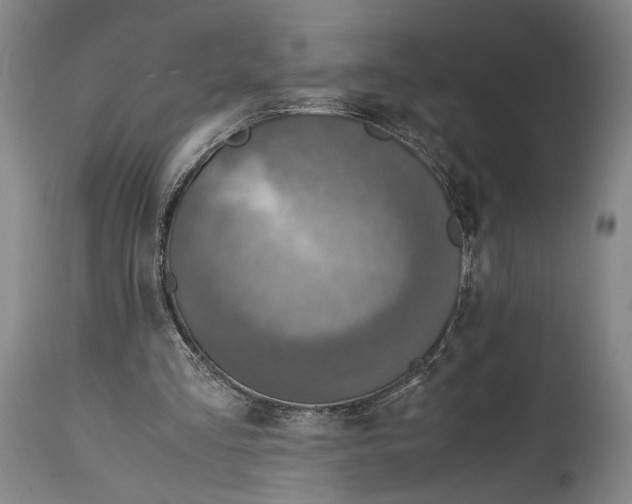 X0000114680293200911181237