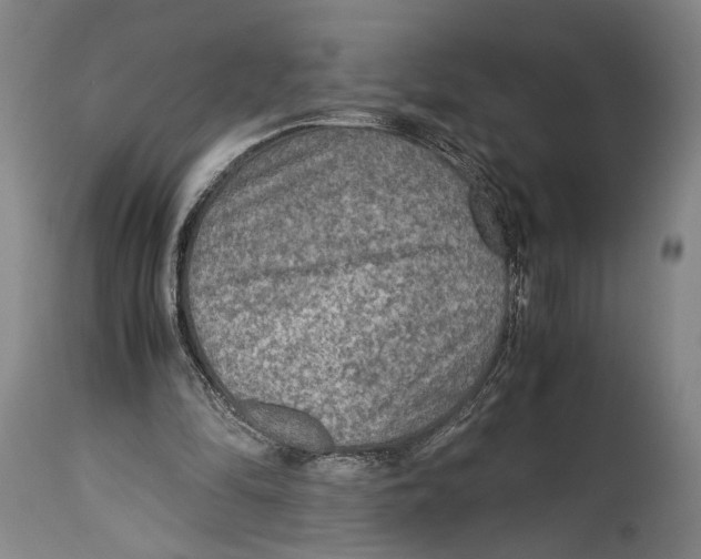 X0000114680294200911181237
