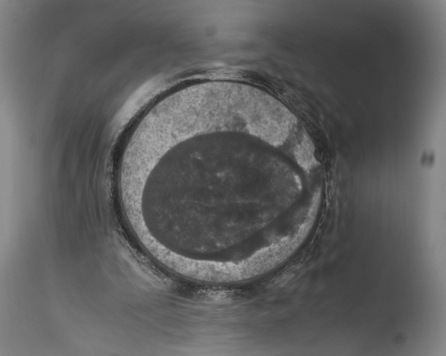 X0000114680295200911181236