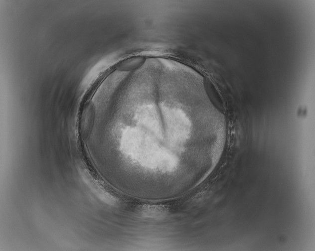 X0000114680296200911181236