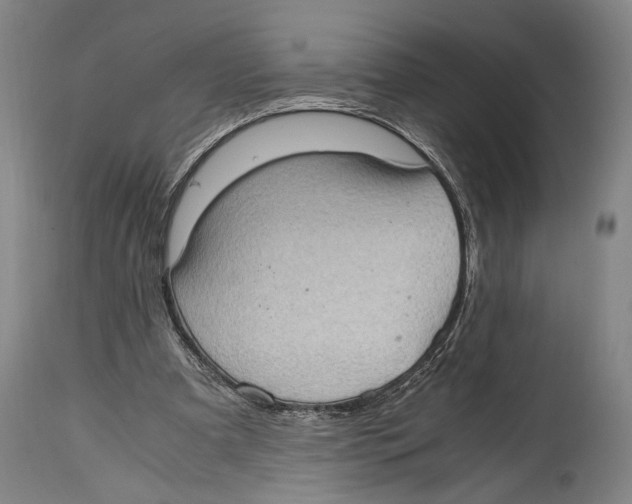 X0000114680297200911181236