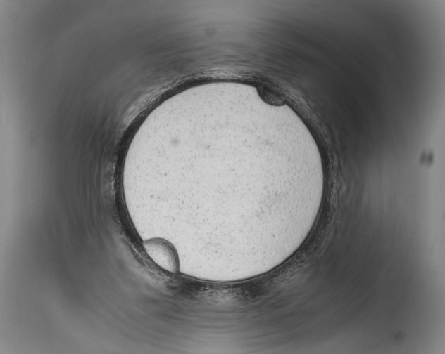 X0000114680299200911181236