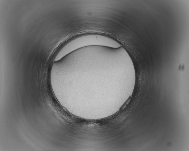 X0000114680304200911181236