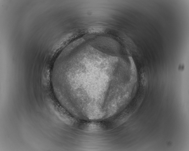 X0000114680308200911181236