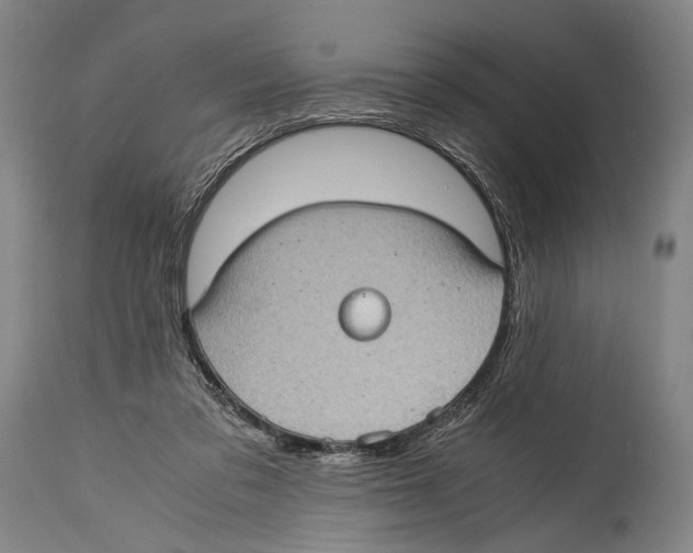 X0000114680309200911181236