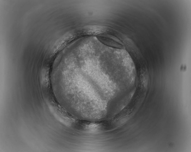 X0000114680312200911181236