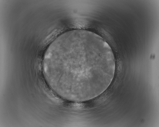 X0000114680313200911181236