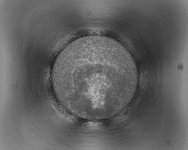 X0000114680314200911181236
