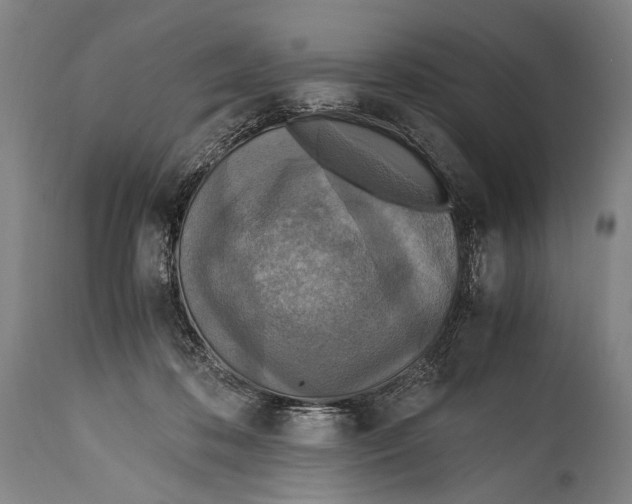 X0000114680316200911181236