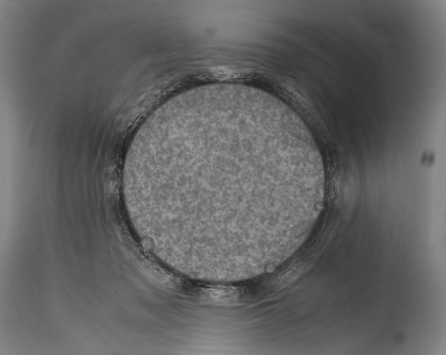 X0000114680317200911181236