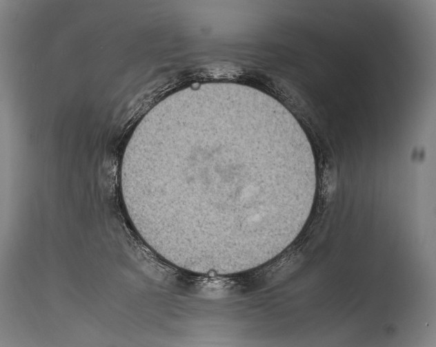 X0000114680321200911181236