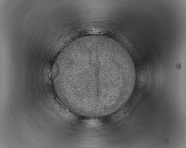 X0000114680322200911181236