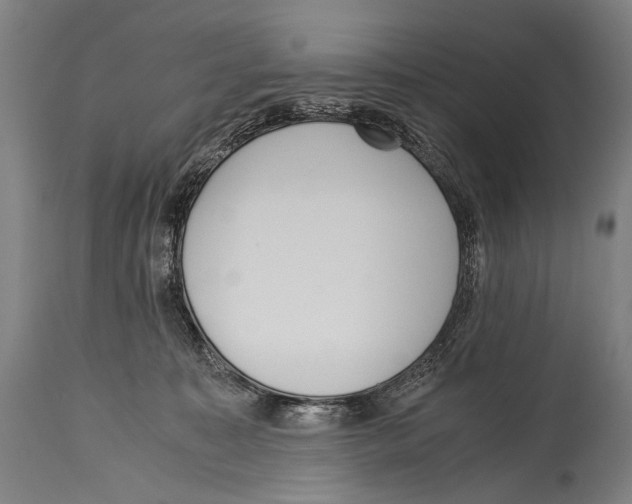 X0000114680323200911181236
