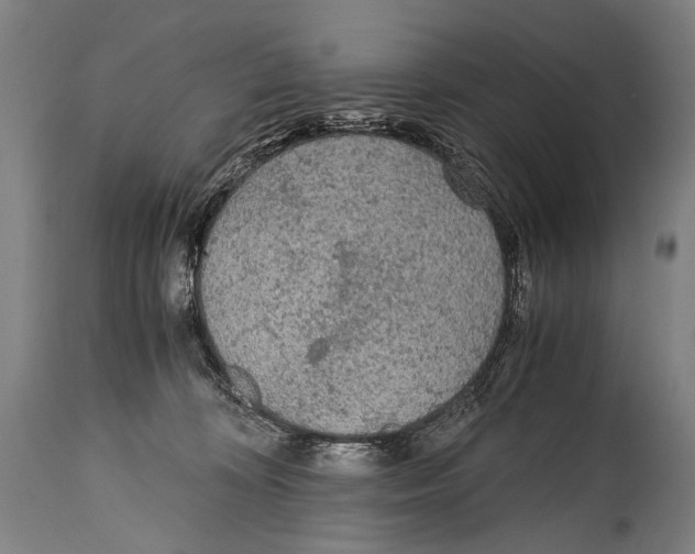 X0000114680324200911181236