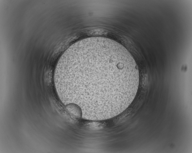 X0000114680326200911181236