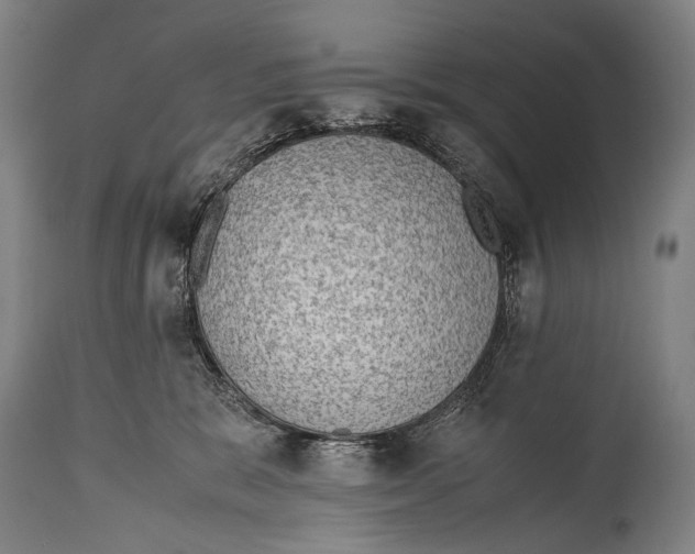 X0000114680327200911181236