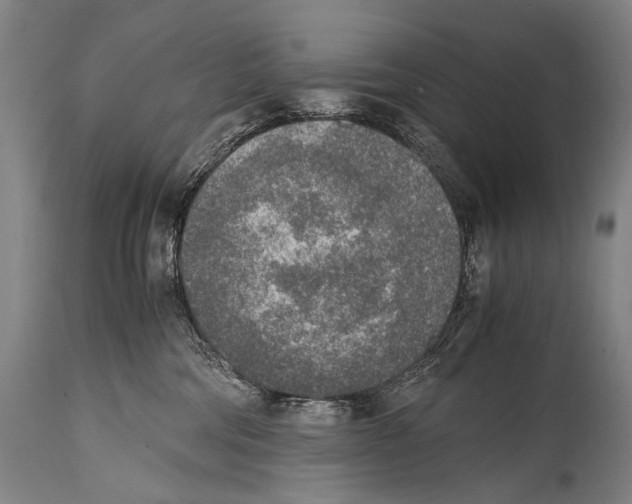X0000114680330200911181236