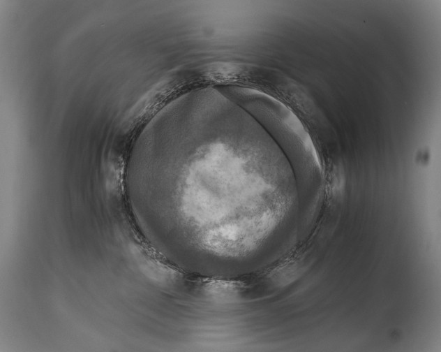 X0000114680332200911181236