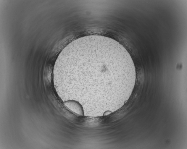 X0000114680334200911181236