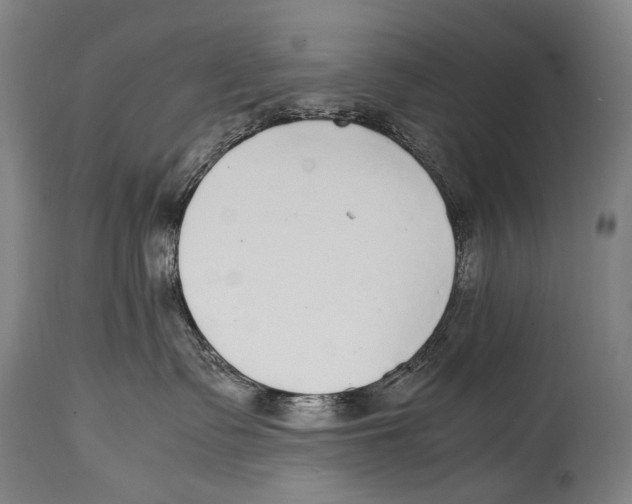X0000114680335200911181236