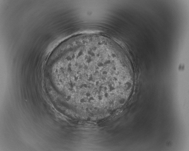 X0000114680337200911181235